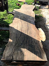 English Walnut